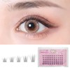 CLEAREYELASH Partial False Eyelashes, Large Capacity, 55 pcs, Korea, Natural,