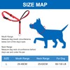 Head Halter for Dogs, Adjustable Dog Headcollar with 120 cm