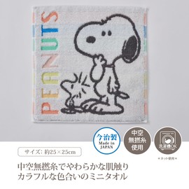 Nishikawa PN4608TW Snoopy Mini Towel, 9.8 x 9.8 inches (25 x 25 cm), Washable, 100% Cotton, No Twist Yarn, Made in Hollow, Lightweight, Moisture Absorbent, Fluffy, Colorful, Rainbow XT44706601, Made