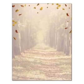 Autumn Walk Letterhead Laser & Inkjet Printer Paper - 25 Sheets