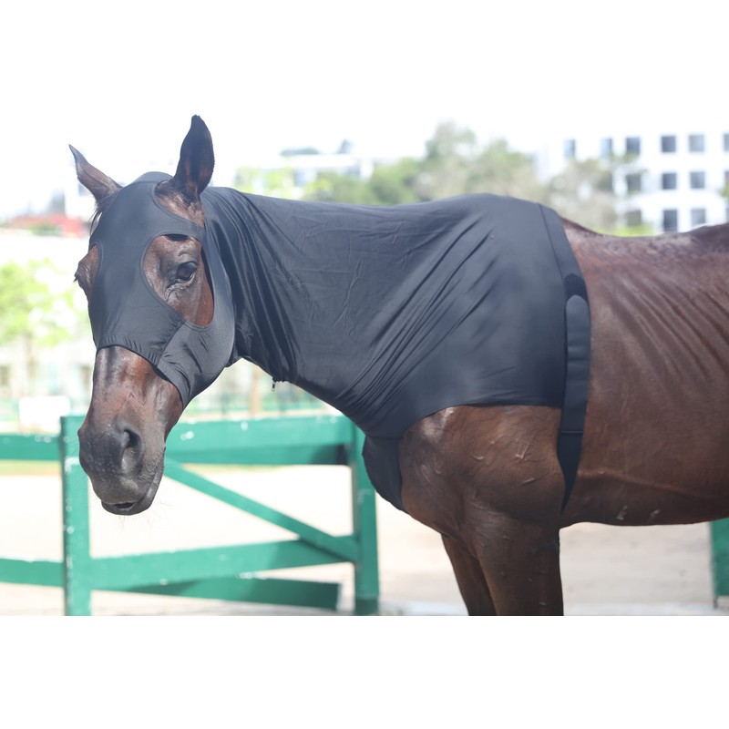 Leberna Lycra Stretch Horse Hood with Zip