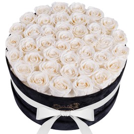UFOREVER ROSES UFOREVER ROSES Valentines Flowers Gifts for Her, Birthday Flowers for Delivery, Preserved Roses in Suede Box - Roses Gifts for Women, Mothers Day Roses - 40 Pieces (White)