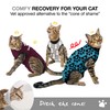 Bellyguard Cat Recovery Suit Female and Male, Comfy Onesie After