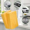10 Count Compostable Thicker Pop-Up Sponges - Expanding, Non-Scratch, Plant-Based