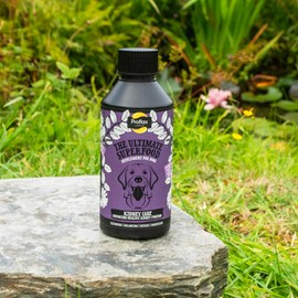 Proflax Natural Kidney Care Oil Supplement for Dogs, 100ml - Renal Support for Dogs - Aids Effective Elimination of Waste - Provides Energy and Encourages a Healthy Appetite - Contains Omega 3 & 6