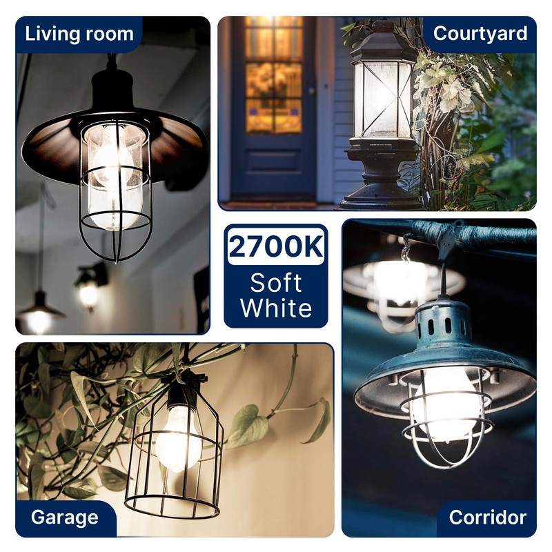 FLSNT 100W Equivalent LED Edison Bulbs, 5000K Daylight, 12W Dimmable