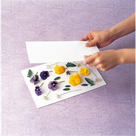 Silica Gel Filled Oshihana Sheet (6 Sheets)