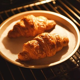 10 Pcs Round Silicone Dehydrator Sheets, Silicone Steamer Mesh Non Stick Food Fruit Dehydrator Mats Steamer Mat Mesh Sheet for Buns Pastry Dim Sum Cooking, Fruit Dryer (10 x 10 inch)