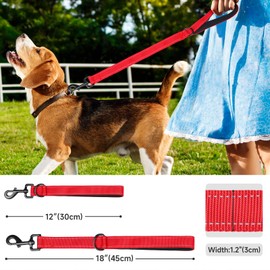 Dog Leash, Short Dog Leash, Leashes for Large Breed Dogs,Traffic Padded Handle- Reflective Training Lead, Perfect for Medium to Large Dogs(24 Inch, Red)