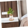 Abaodam 2Pcs Hydroponic Glass Plant Propagation Jars with Stand Lid
