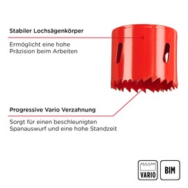 kwb 5 Pieces HSS Bi-Metal Hole Saw Set, Diameter 25, 32, 40 and 51 mm, with Progressive Vario Teeth, High Precision, 6.35 mm Hex Shank, 38 mm Cutting Depth and Pilot Drill