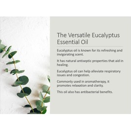 Hademade Coconut and Shea Butter Artisan Soap with Essential oil. (Eucalyptus)