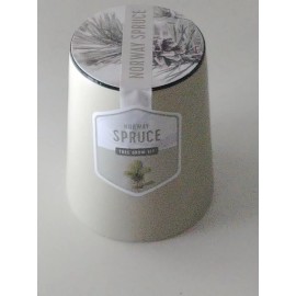 Modern Sprout Self Watering Planter Plant Tree Herb Grow Kit Modern Sprout Norway Spruce