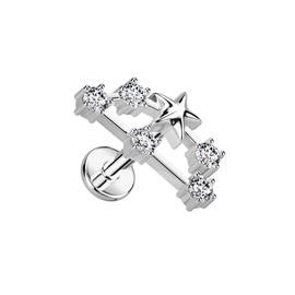 Pierced Owl 18GA 316L Stainless Steel Internally Threaded CZ Crystal Zodiac Constellation Flat Back Stud (Capricorn)