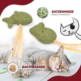 CanadianCat Company Cat Toy, Catnip Fish & Mouse with Raffia (Pack of 2), Catnip, Cat Activity