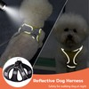 PETPUBGNZS Soft Small Dog Harness and Leash Set Step in
