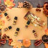Soulorigin Autumn Fragrance Oils Set, Essential Oil for Diffuser, Fall