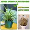 Planterhoma Self Watering Pots for Indoor Plants (Silver Gold, 6.7