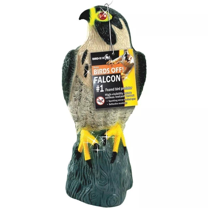 Bird X Decoy Falcon