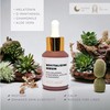 ATIS Vitamin C Face Serum - Anti Aging Facial Serum