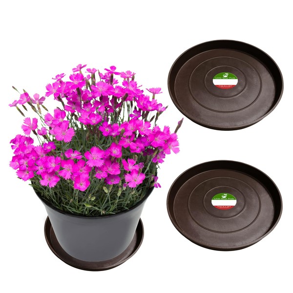 Little Bear Peak Round Composite Plant Saucer/Tray (2-Pack) | 60%