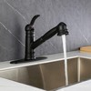Derengge Matte Black Kitchen Faucet,Single Handle Pull Out Kitchen Faucet