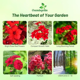 Outsidepride Scarlet Phlox Seeds - 5000 Pcs. Annual, Compact & Self-Seeding Flower Seeds for Planting Vibrant Rose-Red Blooms in Pollinator Gardens, Borders, Containers & Floral Arrangements