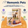 Hemomic Jarabe Vitaminas Y Minerales Perro / Gato Oral 60ml