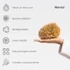 Naroa Piel Sana Feliz Joven Mejore Salud Exfoliando Suavemente Esponja