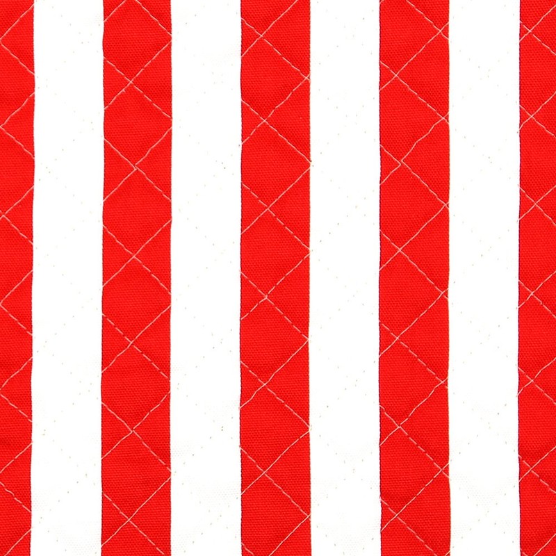 Red Stripe Lessons Bag