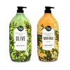 Shower Mate Botanic Terrace Moringa Olive Scented Body Wash 1200g Body Wash Peach