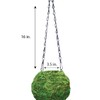 SuperMoss (29348) Kokedama Planter, 6", Fresh Green