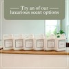 STACK Pure Grace Luxury Laundry Detergent - Highly Scented Laundry