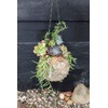 Super Moss (29347) Blond Sphagnum Kokedama Planter, 4"