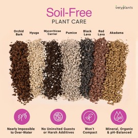 Molly's Succulent Mix - Premium Gritty Soilless Potting Mix for Succulents, Cactus and Bonsai - Contains Akadama, Hyuga, Bark Fines, Pumice, Lava Rock, Mycorrhizae 3 Dry Quarts (3.3L)