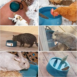 PETLESO Heated Water Bowl for Dogs, Heated Dog Bowl for Cats Birds Chickens Water Heater, Outdoor Pet Heating Dish Provides Drinkable Water in Frozon Winter, 2.2L