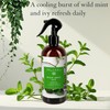 Abbey & Sullivan Linen Spray, Wild Mint Ivy, 16 oz.