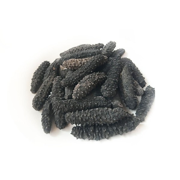海参天下 Wild Black pin Atlantic Dried Sea cucumber 8oz pack （70-120pcs #5）大西洋岩刺参 8oz（70-120头,5号）