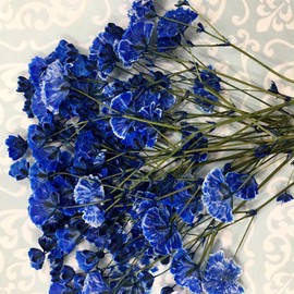 Compact Pressed Flowers Gypsophila (Royal Blue) Small Amounts in Pack! Baby Breath UV Resin, Pressed Flower Art, Accessories, Welcome Board, Marriage Certificate, Parenting Appreciation Card