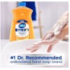 Dial Antibacterial Liquid Hand Soap Refill, Gold, 52 fl oz