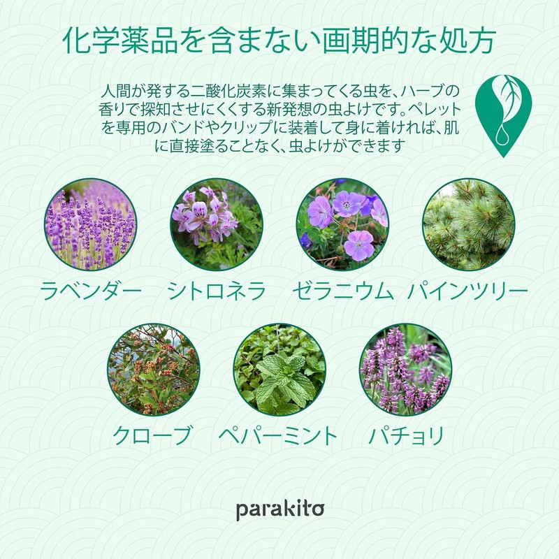 (United Arrows Green Label rirakusingu) SC ★ parakito49 Band Camo