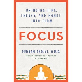 Focus: Bringing Time, Energy, and Money into Flow