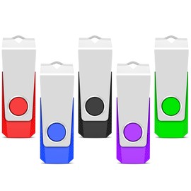 TEWENE USB Memory Stick 2GB USB Stick 2.0 Flash Drive 5-Pack,USB Thumb Drive Pen Drive,USB Storage with Key Ring and Sticker for Computers, Cars and TVs