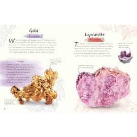 An Anthology of Rocks and Minerals: A Collection of Rocks, Minerals, and Gems from Around the World