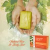 Natural Solution Himalayan Pink Salt, Turmeric and Neem Soap Bar