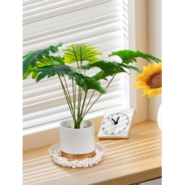 GROWNEER 15 Packs 6 Inches Clear Plant Saucers Flower Pot Trays, with 15 Pcs Plant Labels, Plastic Plant Saucer Drip Trays for Indoor Outdoor Plants Garden