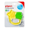 Pigeon Mordedor Frio Estrella