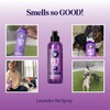Lavender Oil Dog Deodorizing Spray - Dog Spray for Smelly