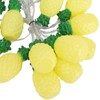 9.8ft 20LEDs Fruit String Lights Battery Operated String Lights for