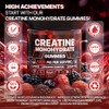 Creatine Monohydrate Gummies 120 Count - Creatine Gummies for Men
